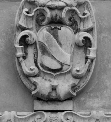 Zdjęcie nr 101: Kościół położony na południe od rynku, na placu otoczonym kamiennym murem z dwiema bramkami od zachodu i północy oraz bramką od południa. Kościół jednonawowy, dwuprzęsłowy, z węższym, niższym dwuprzęsłowym prezbiterium zamkniętym pięciobocznie. Do prezbiterium przylegają dwa aneksy, od północy dawna zakrystia (obecnie kaplica świętych Męczennic), zamknięta od wschodu dwubocznie, mająca w narożu z korpusem wieżyczkę schodową, a od południa zakrystia nowa, na planie prostokąta. Do nawy przylegają dwie kaplice: od północy kaplica Lubomirskich, założona na rzucie kwadratu, nakryta kopułą, a od południa kaplica Branickich, także na rzucie kwadratu z kopułą. Przy korpusie od zachodu piętrowa kruchta, pierwotnie otwarta w przyziemiu od północy, zachodu i południa ostrołukowymi arkadami. Arkada tęczy ostrołukowa. Sklepienie prezbiterium, zakrystii i obu kondygnacjach kruchty krzyżowo-żebrowe, w korpusie, pierwotnie trójprzęsłowym, pierwotnie sklepienie o polach trójkątnych z trójpromieniem, wsparte na dwóch dziesięciobocznych filarach, obecnie kolebkowo z lunetami. Żebra w prezbiterium i zakrystii o profilu żłobkowym, w kruchcie - gruszkowym. W prezbiterium służki cylindryczne, nadwieszone na oplecionych liśćmi wspornikach oraz rzeźbione zworniki z przedstawieniem Głowy Chrystusa i motywami roślinnymi. Ściany rozczłonkowane wykonanymi w czarnego marmuru arkadami, zamkniętymi łukiem półkolistymi. Okna ostrołukowe , obustronnie rozglifione z krzyżowym laskowaniem, w ścianie północnym prezbiterium ślepe. Kościół opięty przyporami. Elewacje na cokole, z profilowanymi gzymsami cokołowymi, kapnikowym i koronującym. Szczyty zwieńczone kwiatonami, z których zachodnie z krzyżem. Portale kamienne, ostrołukowe: zachodni profilowany, z ażurowym maswerkiem; drugi w prezbiterium do zakrystii, profilowany; trzeci do wieżyczki schodowej.