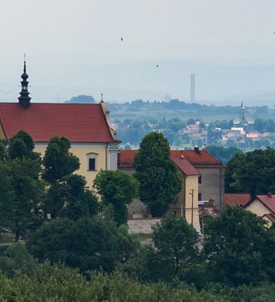 Zdjęcie nr 2: 