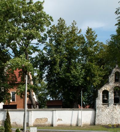 Zdjęcie nr 37: Kościół jest usytuowany w centrum wsi Rudawa, na północ od głównej drogi z Zabierzowa do Chrzanowa. Teren wokół niego jest otoczony wysokim, kamiennym murem z nieregularnych ciosów kamienia, oszkarpowanym, tynkowanym, z wyjątkiem zewnętrznej części muru na zachód od południowej bramki. W murze znajdują się trzy wejścia, od wschodu, południa i zachodu. W części wschodniej muru znajduje się trójosiowa brama wjazdowa, zwieńczona łukiem wklęsło-wypukłym, z trzema przelotami: środkowym wyższym i szerszym, zamkniętym łukiem odcinkowym i bocznymi węższymi i niższymi, zamkniętymi łukiem półkolistym (północne zamurowane). Część środkowa jest flankowana zdwojonymi pilastrami, podtrzymującymi profilowane uskokowe belkowanie z przyczółkiem o profilowanym łuku falistym, zwieńczonym równoramiennym krzyżem. W przyczółku wnęka z figurą św. Floriana. Bramki od strony zachodniej i południowej prostokątne, z przejściem zakończonym płaskim łukiem odcinkowym, z profilowanym gzymsem, zwieńczonym trójkątnym przyczółkiem. Przejścia zamykane drewnianymi ażurowymi i pomalowanymi na ciemnobrązowo jednoskrzydłowymi drzwiami. Poprzez bramkę od zachodu zejście kamiennymi schodami poprowadzonymi wzdłuż muru na dziedziniec plebański, usytuowany poniżej terenu kościelnego. 
W północno-wschodnim narożniku muru niewielka murowana i tynkowana kostnica na planie kwadratu, nakryta dachem namiotowym, łamanym, zakończonym ośmioboczną ślepą latarnią.

Po stronie południowej, poniżej placu kościelnego, do muru przylega murowana, tynkowana, prostokątna i dwukondygnacyjna „zegarowa” wieża bramna nakryta namiotowym dachem z wysoką drewnianą ośmioboczną latarnią o cebulastym hełmie. W wieży znajduje się przejazd wiodący na dziedziniec plebański, z sienią otwartą na przestrzał w dolnej kondygnacji i z lamusem dostępnym od strony placu kościelnego w górnej. 

W południowej części muru, w pobliżu południowo-wschodniego narożnika placu kościelnego, nadbudowana kamienna dzwonnica parawanowa z zawieszonymi czterema dzwonami.  

We wschodniej części placu kościelnego pomiędzy bramką wschodnią a kostnicą znajduje się kamienna ambona, o ośmiobocznej podstawie przechodzącej w szerszy, również ośmioboczny korpus, zakończony kamiennym parapetem, z kamiennymi schodami prowadzącymi na ambonę od strony wschodniej. 

Kościół jest orientowany, prawie w całości zbudowany z cegły, otynkowany z wyjątkiem prezbiterium. Wnętrze kościoła tworzy niewielkie, prostokątne, jednoprzęsłowe prezbiterium zakończone prostą ścianą i nakryte pozornym sklepieniem krzyżowo-żebrowym. Nawa jest szersza, prawie kwadratowa, nakryta drewnianym stropem. Prezbiterium z nawą są połączone szeroką, ostrołukową arkadą w ścianie tęczowej. Od północy do prezbiterium przylega założona na planie prostokąta dwuprzęsłowa zakrystia, nakryta sklepieniem krzyżowym. Wejście do zakrystii zaznaczone gotyckim, kamiennym, sfazowanym portalem zamkniętym łukiem ostrym. Od zachodu do zakrystii przylega niewielkie pomieszczenie gospodarcze, do którego z zakrystii prowadzą ostrołukowe drzwi. Zakrystia oświetlona ostrołukowym oknem w ścianie wschodniej, wypełnionym witrażem z tafelek w kształcie sześciokąta foremnego, ze szkła surowego, tzw. katedralnego. 

Od południa do nawy przylega kaplica o formach renesansowych, dwukondygnacyjna, założona na planie kwadratu. W dolnej kondygnacji sklepiona krzyżowo-żebrowo kruchta otwarta do nawy szeroką, zamkniętą półkoliście arkadą.

Ponad kruchtą kaplica św. Kazimierza, nakryta wspartą na pendentywach kopułą z latarnią. Z kruchty do kaplicy prowadzą kręte kamienne schody umieszczone od zachodu w półkolistej wieżyczce. Prostokątne wejście z krypty na klatkę schodową ujęte kamiennym profilowanym portalem. Kaplica otwarta do nawy szeroką, zamkniętą półkoliście arkadą, o kształcie i wymiarach analogicznych do arkady znajdującej się poniżej. Kaplicę, prócz latarni, oświetla prostokątne okno w ścianie południowej, wypełnione witrażem z tafelek w kształcie gomółek, ze szkła surowego, tzw. katedralnego. Na zachodniej ścianie nawy chór muzyczny, dostępny klatką schodową ukrytą w zewnętrznym aneksie przylegającym do zachodniej elewacji nawy i południowej elewacji wieży-dzwonnicy. 

Nawę i prezbiterium oświetlają umieszczone w południowych ścianach prostokątne, rozglifione okna: jedno w prezbiterium, dwa w nawie. Wszystkie wypełnione witrażami z tafelek w kształcie gomółek, ze szkła surowego, tzw. katedralnego. 

Do kościoła prowadzą dwa wejścia: poprzez arkadę z kruchty południowej oraz szerokie wejście główne prostokątne, zamknięte łukiem odcinkowym, prowadzące do kościoła z obszernej kruchty od strony zachodniej, znajdującej się w murowanym przyziemiu wieży - dzwonnicy. Kruchta, założona na planie kwadratu i nakryta murowanym stropem, doświetlona jest dwoma prostokątnymi oknami umieszczonymi naprzeciw siebie w ścianach północnej i południowej.
 
W zewnętrznej elewacji kościoła widoczny niewysoki kamienny cokół wykonany z nieregularnych ciosów kamienia. Prezbiterium, niższe od nawy, murowane z cegły w układzie wedyjskim, z domieszką układu polskiego. Wschodnie naroża prezbiterium zaakcentowane płaskimi lizenami. We wschodniej ścianie widoczny zarys zamurowanego wydłużonego okna zamkniętego lekko zaostrzonym łukiem, w trójkątnym szczycie znajduje się niewielkie wąskie okienko zakończone łukiem półkolistym. Południowa ściana prezbiterium ozdobiona fryzem z cegieł. Do ściany północnej prezbiterium przylega zakrystia, oszkarpowana, nakryta dachem pulpitowym, z dobudowanym od niej niewielkim aneksem, nakrytym takim samym zadaszeniem. Do wschodniej ściany prezbiterium przylega ogrójec nakryty dachem namiotowym z cebulastym zwieńczeniem, wspartym na sześciu smukłych, profilowanych drewnianych słupach z mieczami, pomiędzy którymi od północy i południa ażurowa drewniana balustrada. 

Nawa oszkarpowana w narożnikach. Elewacje bez podziałów architektonicznych. Od strony południowej do nawy dobudowana dwukondygnacyjna kaplica nakryta kopułą z latarnią, podzielona na dwie kondygnacje. W dolnej kondygnacji od południa wejście do kruchty zaznaczone kamiennym portalem o sfazowanych węgarach i lekko zaostrzonym łuku. Wejście zamykają drewniane dwuskrzydłowe drzwi ozdobione kratownicą z żelaznych listew. Od zachodu do kaplicy przylega półokrągła wieżyczka nakryta daszkiem stożkowym. 

Do zachodniej fasady kościoła dostawiona niska, założona na planie kwadratu trójkondygnacyjna wieża-dzwonnica: w dolnej części murowana, w narożach wzmocniona kamiennymi szkarpami, w górnej drewniana konstrukcji słupowo-ramowej z nadwieszoną izbicą i nakryta dachem półszczytowym. W dolnej, murowanej kondygnacji, na osi kościoła, prostokątne wejście do kruchty zaakcentowane przedsionkiem w kształcie ostrołukowej arkady i czterostopniowymi schodami. Przedsionek nakryty dachem dwuspadowym. Do zachodniej elewacji nawy i południowej elewacji dzwonnicy przylega niewielki, wysoki drewniany aneks, nakryty dachem pulpitowym, mieszczący klatkę schodową prowadzącą na górną kondygnację dzwonnicy i na chór muzyczny w nawie kościoła. Prostokątne wejście w południowej ścianie aneksu, do którego prowadzą pięciostopniowe proste schody. Ponad nimi, na wysokości drugiej kondygnacji dzwonnicy, niewielkie kwadratowe okno. 

Prezbiterium i nawa przykryte stromymi dachami dwuspadowymi, zamkniętymi od wschodu i zachodu szczytami sterczynowymi. Wieżyczka na sygnaturkę ośmioboczna, w dolnej części barokowa, w górnej części nowsza.