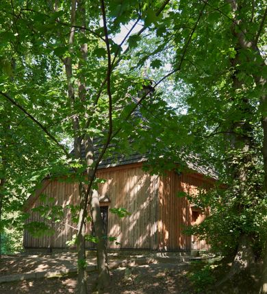 Zdjęcie nr 4: Kaplica św. Otylii i Łucji w Wilkowie usytuowana jest przy skrzyżowaniu dróg na stromym, kilkumetrowym wzniesieniu. Teren wokół obiektu otoczony jest starodrzewiem i zaroślami. Kaplica jest orientowana, wzniesiona w konstrukcji zrębowej na nowej podmurówce, zbudowana na planie prostokąta, zamknięta od wschodu wielobocznym prezbiterium. Od północy posiada wąską i prostokątną zakrystię. Wewnątrz znajdują się drewniane stropy, w prezbiterium nad ołtarzem jest wycięty niewielki kwadratowy otwór na pomieszczenie zwieńczenia ołtarza głównego. Chór muzyczny drewniany, wsparty na dwóch kolumnach z częścią środkową półkoliście wysuniętą do przodu. 

Do kościoła prowadzą trzy wejścia: pierwsze od strony zachodniej, drugie od strony południowej (oba z nadwieszonymi małymi daszkami, pokrytymi gontem) oraz trzecie od strony wschodniej poprzez zakrystię. Wejście do zakrystii od strony wewnętrznej posiada nadproże wycięte w tzw. ośli grzbiet (przeniesione z wnętrza świątyni). Trzy otwory okienne usytuowane są po jednym: na ścianie południowej, południowo-wschodniej, a także na ścianie północnej zakrystii. Są to okna ościeżnicowe, pojedyncze z zachowanym od strony wewnętrznej fazowaniem ościeży.

Elewacja zewnętrzna przykryta oszalowaniem pionowym z listwami. Dach nad prezbiterium i zakrystią wspólny, wielospadowy, pokryty gontem. Sygnaturka na rzucie sześciokąta o ściankach bocznych z pionowymi otworami, pokryta gontowym daszkiem, zwieńczona krzyżem.