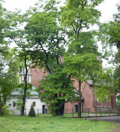 Zdjęcie nr 10: Na miejscu kościoła romańskiego, orientowany, dwunawowy, halowy; nawa południowa na rzucie prostokąta, na osi prezbiterium, dwuprzęsłowa, sklepiona kolebkowo z lunetami, na gurtach; nawa północna węższa od południowej, dwuprzęsłowa, sklepiona krzyżowo-żebrowo z kolistymi płaskorzeźbionymi zwornikami, jeden z literami ihs, drugi z literą s pod koroną. Prezbiterium prostokątne, dwuprzęsłowe, sklepione krzyżowo-żebrowo, z kolistymi zwornikami i profilowanymi wspornikami; przy nim od północy dawna zakrystia na rzucie prostokąta, sklepiona kolebkowo, otwarta do nawy wtórną arkadą, od wschodu nowa zakrystia na rzucie ośmioboku. Od zachodu przylega do nawy kwadratowa, czterokondygnacyjna wieża, z wieżyczką schodową w narożu północno-wschodnim, kruchtą w przyziemiu i chórem muzycznym na piętrze. Przy niej od północy drewniana piętrowa przybudówka mieszcząca w przyziemiu komorę bracką, na piętrze miech i kanał organowy. Przy nawie południowej od południa kwadratowa kruchta. Arkada tęczy zamknięta łukiem półkolistym, arkady do nawy północnej łukiem lekko zaostrzonym. Mury opięte przyporami, elewacje na cokole, z wzorami z zendrówki. Okna pierwotnie ostrołukowe, obustronnie rozglifione (niektóre zbarokizowane). Portale: zachodni, do kruchty pod wieżą, oraz do kruchty południowej, kamienne, prostokątne. Dachy dwuspadowe, pokryte blachą miedzianą. Zakrystia od wschodu przy prezbiterium wzniesiona na miejscu drewnianej kaplicy Ogrojcowej z XVIII wieku.