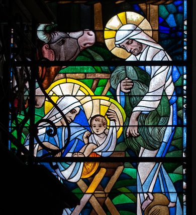 Zdjęcie nr 1: Witraż w kształcie stojącego prostokąta zamkniętego łukiem półkolistym. W centrum kompozycji, na tle stajenki ukazana Święta Rodzina. Z lewej strony znajduje się przedstawiona z profilu, w pozycji klęczącej Maria pochylająca się nad leżącym w żłóbku Dzieciątkiem Jezus. Ukazana jest jako młoda kobieta, ubrana w niebiesko-białe szaty z białą chustą na głowie. W dłoniach podtrzymuje fragment tkaniny, którą otula Jezusa. Dzieciątko zostało przedstawione frontalnie, w pozycji siedzącej w drewnianym żłóbku o skrzyżowanych nogach. Obie rączki Jezusa ugięte w łokciach i uniesione na wysokość twarzy. Bose stopy wyciągnięte do przodu. Wokół głów Marii i Dzieciątka znajdują się świetliste nimby. Z prawej strony kompozycji przedstawiono św. Józefa ukazanego w pozycji stojącej, z ciałem skierowanym w trzech czwartych w prawo. Święty pochyla się nieco do przodu w kierunku żłóbka. Ma twarz dojrzałego mężczyzny, z krótką, brązową brodą. W ręku trzyma fragment futrzanego okrycia. Ubrany jest w biało-niebieskie, długie szaty oraz białą chustę. Stopy postaci są bose. Wokół głowy świętego znajduje się świetlisty nimb. Na drugim planie, z prawej strony przedstawiono zwierzęta: wołu oraz osła i drewnianą stajenkę, a w tle rozgwieżdżone, granatowe niebo z widoczną gwiazdą betlejemską. W dolnej części kompozycji, na pierwszym planie ukazane są owce i barany. W prawym dolnym rogu witraża umieszczona jest sygnatura „Adam Bunsch / 1960”.