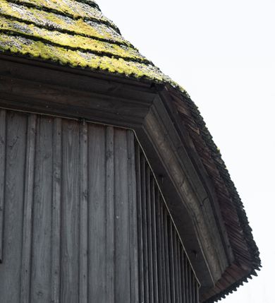 Zdjęcie nr 54: Kościół orientowany, pierwotnie na rzucie krzyża łacińskiego, jednonawowy, z kaplicami bocznymi od północy i południa, z prezbiterium prostokątnym zamkniętym wielobocznie. Obecnie w miejscu drewnianej kaplicy północnej murowana kaplica grobowa, a przy prezbiterium murowana prostokątna zakrystia i skarbczyk (1622 r.); nawa przedłużona ku zachodowi (1878-1879). Przy zachodniej części nawy, od południa, prostokątna drewniana kruchta. Wewnątrz stropy, w kaplicy północnej sklepienie krzyżowe z lunetami, w zakrystii i skarbczyku kolebkowe z lunetami. Zewnątrz zaszalowany. Dach nad nawą i prezbiterium jednokalenicowy, dwuspadowy o załamanych połaciach. Na kalenicy baniasta wieżyczka na sygnaturkę. Odrzwia zachodnie z nadprożem ozdobionym trójliściem z łukiem w ośli grzbiet oraz fryzem arkadkowym; odrzwia z prezbiterium do zakrystii z nadprożem ozdobionym łukiem w ośli grzbiet.