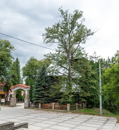 Zdjęcie nr 25: Kościół drewniany, orientowany, jednonawowy o konstrukcji zrębowej, oszalowany. Prezbiterium kwadratowe o wielobocznym zamknięciu z zakrystią od północy. Nawa szersza, prawie kwadratowa, przy niej od północy kaplica i składzik później dostawiony; od południa i od zachodu kruchty. Korpus nakryty dachem dwuspadowym, jednokalenicowym, z barokową wieżyczką na sygnaturkę na kalenicy; składzik nakryty dachem pulpitowym. Wewnątrz stropy kasetonowe. Otwór tęczy o profilowanym łuku półkolistym podwyższonym; belka profilowana, na niej grupa Ukrzyżowania. Chór muzyczny wsparty na dwóch słupach. Kaplica otwarta do nawy półkolistą arkadą. Troje drzwi o ozdobnych obramieniach uszatych, schodkowatych i uszato-schodkowatych, ze starymi okuciami. Wieża nowa, izbicowa o pochyłych ścianach, zwieńczona ostrosłupowym hełmem.
