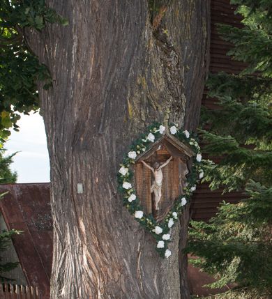 Zdjęcie nr 17: Kościół św. Elżbiety Węgierskiej w Trybszu usytuowany jest w centrum wsi na południe od drogi prowadzącej z Łapsz Wyżnych do Nowego Targu. Teren przykościelny jest otoczony od południa drewnianym ogrodzenie z murowanymi słupkami i kamienną podmurówką, z pozostałych stron mur z polnych kamieni, nakryty daszkiem cementowym. Główne wejście na teren przykościelny od północy, od zachodu bramka prowadząca do nowego kościoła, od południa furtka na cmentarz. Od zachodu główne wejście flankowane słupkami. Na placu przykościelnym stara lipa, w niej krucyfiks w kapliczkowej, szafkowej oprawie. W zachodniej części sztuczna grota, murowana z polnych kamieni z figurą Matki Boskiej z Lourdes. 

Kościół jest orientowany, drewniany o konstrukcji zrębowej, jednonawowy z wydłużonym prezbiterium zamkniętym trójbocznie, z kruchtą od południa i pierwotnie z zakrystią od północy i wieżą od zachodu. Wnętrze nakryte pułapem, w nawie z zaskrzynieniami, wiązanie nawy oparte nie na ścianach lecz na belkach podciągowych, których jeden koniec jest w ścianie tęczy, drugi zaś w czołowej ścianie nawy. Na zachodniej ścianie nawy chór muzyczny wsparty na dwóch filarach. Wnętrze oświetlają umieszczone w południowej ścianie trzy okna (dwa w prezbiterium i jedno w nawie). Ściany i stropy pokryte polichromią. Do kościoła prowadzi główne wejście od strony zachodniej oraz jedno przez kruchtę od południa. Dach o jednej kalenicy, gontowy, na środku drewniana sygnaturka, nakryta kopułką. Portal do zakrystii o wykroju w tzw. ośli grzbiet. 

