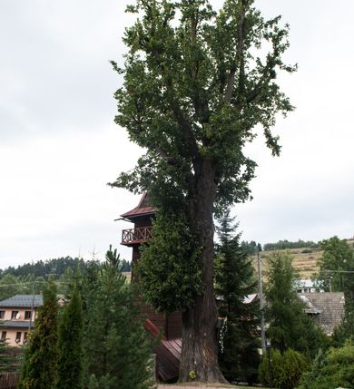  18: 