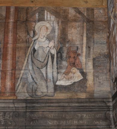 Zdjęcie nr 48: Polichromia ścienna obiegająca całe wnętrze świątyni wraz ze stropem, na ścianach kompozycje dwustrefowe. Strefy odgraniczone malowanym, profilowanym szarym cokołem z konsolami oraz umieszczonymi między nimi napisami. Na osi konsol, w drugiej strefie kolumny oddzielające poszczególne sceny. Kolumny ustawione na złoconych bazach, trzony malowane na czerwono, kapitele stylizowane na korynckie. Podpory podtrzymują malowany szary fryz zdobiony maskami, uskrzydlonymi główkami anielskimi oraz liśćmi wawrzynu.

Ściana północna nawy
W dolnej strefie znajduje się przedstawienie, tzw. Sąd Krwi, odbywający się w pałacu Kajfasza. Pośrodku sceny stoi Kajfasz na podwyższeniu ubrany w strój kapłana żydowskiego, na tle czarnej kotary. U góry napis cześciowo nieczytelny: „SAIPHAS / PONTIFEX / (?) OMNES QVID VELATIS PRAESTAT MNV(?) MORI QVAM / (?) VNIVE SV(?) POPULV (?) DE (?)RE”. Po prawej stronie kompozycji siedzi na kamiennym podeście Chrystus zwrócony trzy czwarte w prawo. Ubrany jest w czerwoną suknię, na głowie ma założoną koronę cierniową, a wokół niej kolisty nimb. Po obu stronach Kajfasza znajdują się liczni członkowie Sanhedrynu, którzy trzymają w dłoniach zwoje z ich imionami oraz orzeczeniami winy, część z nich jest nieczytelna: „INCOGNITA CAV/SA MORTI OBU(?)/EN BVS”, „(?) / ROGAT / NOR(?)M (?) / HIC (?)OMC PE(?)A /VIT”, „PAD / (?)EDV(?) / (?)T / (?)N”, „(?)SMO(?) / (?)HIN (?)”, „RIPHA(?) / LEX IN (?)”, „QRAM / QVARE SINE/MVS VIRVM / (?) QVIA / IVSTVS EST / MORTE DAM(?)”, „EM / IVSTVS / MAXIME QVV / POPVLVM SV(?) / CONCIONIRVS / (?)IONEM / (?)ONC(?)”, „NECODE / (?)CEM ACC(?) / PVLV SEDVCD / MORTE DIGNUS(?) /EST”, „(?)TRIE / (?)NITIE”, „MES / SI(?)VSTVS / EST CONVER / (?)AMVR ADI/(?)VM SINE / (?)VST (?)”, „SAMEOH / SI NEC IV/STVS EST NEC / INIVSTVS Q (?)/TAMEN MO(?)/MVR: C(?) / NON CI (?) /MORTE / EL EXILI / O IPSV / DAMNA/MVS”. Ponadto zachowane pojedyncze litery w dolnej części sceny oraz fragmenty długiego napisu po prawej u góry: „(?) CRV(?) (…) NOS / ET SVP(?)R FILIOS”. W górnej strefie od lewej strony pierwsza kwatera nieczytelna. W drugiej znajduje się scena ukazująca Chrystusa Zmartwychwstałego odwiedzającego Matkę Boską. Poniżej w partii cokołu napis: „T(?) ITA EVIT SVBIIT TAMEN A SPERA MORIS / N(?)LA SED STRATA MORTE RESVRGIT”. W drugiej kwaterze Pokłon Trzech Króli, opatrzony napisem: „CURVATO REGES VENER NTVR POPLITE REGEM / REGYM. NEC MIRUMOIVS DOCET OFFICIVM”. W ostatniej scena ukazująca Boże Narodzenie z podpisem: „VIRGO (?)NTIVSI(?)E P(?)VOD DINERAT ANTE / JAM(?) NIS PALPAS UPERE NVI S. ANAS”.

Ściana łuku arkady tęczowej
Po stronie północnej – dolna strefa nieczytelna, w górnej przedstawienie św. Jerzego na koniu walczącego ze smokiem. Po stronie południowej arkady tęczowej w górnej strefie św. Marcin ucinający połę swojego płaszcza dla żebraka. 

Prezbiterium
Na ścianie północnej lewa strona strefy dolnej niezachowana, dalej drzwi do zakrystii flankowane parą kolumn o czarnych trzonach i korynckich kapitelach. W nadprożu scena ukazująca Chrystusa Zmartwychwstałego Triumfującego, który jedzie na zaprzężonym w trzy baranki powozie. Na tyle pojazdu leżą narzędzia Męki Pańskiej. W prawym górnym narożu sceny napis: „IESVS TRIVMPHANS”. Kolejna scena przedstawia dwie święte niewiasty oraz ucztę. Scena w najnowszej literaturze interpretowana jest jako usługiwanie św. Elżbiety ubogim i chorym. W górnej strefie od lewej strony zostały ukazane następujące przedstawienia i podpisy: Nawiedzenie Najświętszej Marii Panny opisane słowami: „VISITAT ELEGTA IN GENITRICEM VIRCO TONANTIS / MA(?) (?)OMINIS PVRI VERA PARENS OVE DEI”. Kolejna scena przedstawia Zwiastowanie Najświętszej Marii Pannie: „TER QVE QVATER Q3 BEATA, ES VIRGO TE FORE MATRE / ANGELVS A CAELO DETONAT ORE DEI”. Następna kwatera ukazuje Matkę Boską Niepokalanie Poczętą. Po jej bokach znajdują się dwa anioły unoszące białe banderole z napisami: „FIA(?)MINA PLVENS CAELLS EST SVME GRATIA REGIS / A TE QVA RERIT VIRGO SIGMA (?)” oraz „CVMBA NATAT SVPIRI MARE. SED NON FLVC T. FRGO / MVNDANI FLCTIS NON TIM(?)”. W narożach symbole Litanii Loretańskiej w medalionach opisane kolejno słowami: „PER HAEC PRAESERVOR”, „FLVCTVS NON VEREOR”, „EXSPINIS SINE SPINIS ORIOR” oraz „(?)AVDOR NOCTI / LVCI APERIOR”. Poniżej sceny słabo czytelny napis: „INSIDIABARIS MALEDICTE VENENIGER ANGVIS / HV(?) (?)ENERI FAVCIBVS I GNIVS ME / (?) MVLIEREM DIRE (?)RANE / (?)PSE KIECAEM”. Poniżej przedstawienia, w partii cokołu napis: „ECCE ENIM EX HOC BEATAM ME / DICENT OMNES GENERATIONES”. W kolejnej kwaterze św. Elżbieta Węgierska i inskrypcja na cokole: „ARE ODIVA ELIZABETH: NAM TVA CLARENT / RIO MORES NOMINA FACTA POLO”.  Dalej św. Stanisław Biskup: „DIVE STANISLAE HIC MVLT LOCVS AMBIT ET OBTAT / SIS PATER ELIZABETH PATRONA SI(?)”. W części środkowej apsydy dolna cześć niezachowana, w górnej przedstawienie Mojżesza oraz Aarona. Na ścianie południowej prezbiterium w strefie dolnej ukazani kolejno czterej ojcowie Kościoła, opisani: św. Augustyn „S(ANCTVS) AVGVSTINVS”, św. Hieronim „S(ANCTVS) HIER(ONIM)”, św. Grzegorz Wielki „S(ANCTVS) GREGORIVS” oraz św. Ambroży. W strefie górnej, od lewej: św. Jan Kanty. W partii cokołowej napis: „(?) HIC EST quo PATRIARHA ACADEMIA GAVDET / (?)qucm Felic aedicai Astricolam / (?)arior hospes ades Canti no us oris / hic habites oni Alumnus Armans”. W kolejnej kwaterze ukazani są św. Piotr oraz św. Andrzej: „CREDO IN DEVM PATREM OMNIPOTENTE CREATORE CA(?)ETERE ET IN IESVM CHRI/STVM FILIVM (?)VS VNICVM DOMINVM / NOSTRVM”. Następnie św. Bartłomiej i św. Filip: „DESCENDIT AD INFEROS, TERTIA DIE RESVB / REXIT AMORTVIS ASCENDIT, AD CAELOS SEDENT, A DEXTERAM DEI PATRIS OMNI: / POTENTIS”. W ostatniej kwaterze prezbiterium ukazani są św. Tomasz oraz drugi, nierozpoznany apostoł: „CREDO IN SPIRITVM / SANCTVM”.

Ściana północna nawy
Polichromia na ścianie północnej częściowo niezachowana. W dolnej strefie scena ukazująca Modlitwę w Ogrójcu oraz narzędzia Męki Pańskiej: „(?)S SALVATOR / M(?)”. W górnej strefie kolejni dwaj apostołowie: św. Szymon i św. Juda Tadeusz: „SANCTA(?) / MVNION (?)”. Kolejna kwatera nieczytelna.

Balustrada chóru muzycznego
Balustradę chóru muzycznego zdobią alegorie siedmiu grzechów głównych pod postacią kobiet i towarzyszących im atrybutów, pierwsza z lewej Pycha, następna Chciwość, kolejne nieczytelne. Pod chórem muzycznym uskrzydlona główka aniołka nad portalem wejściowym, a po prawej stronie napis: „SPECVLVM / (?) MAI(?) OMNIB(?) VI(?)SIM(?) (?) CADENTI V RESCAT / (?)”.

Strop
Kompozycja stropu podzielona na trzy strefy, dwie duże boczne oraz wąską, środkową. W pierwszej strefie bocznej umieszczona jest rozbudowana kompozycja przedstawiająca Wniebowzięcie Najświętszej Marii Panny. W dolnej strefie pusty grób oraz apostołowie. Matkę Boską otaczają grupy muzykujących aniołów, u góry stoi Chrystus. W strefie środkowej ukazana została Koronacja Matki Boskiej, a w drugiej strefie bocznej Sąd Ostateczny. Partia malowideł na stropie również dookoła opatrzona jest napisami, lecz nieczytelnymi. 
