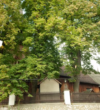 Zdjęcie nr 22: Kościół drewniany, orientowany, z dwuczęściowym korpusem: od wschodu jednonawowym, od zachodu trójnawowym; z prezbiterium zamkniętym trójbocznie, przy którym zakrystia od północy, z przybudówką od południa i dwiema wieżami od zachodu. Od wschodu chór muzyczny wbudowany pomiędzy wieże. Kościół wzniesiono w konstrukcji zrębowej, wieże w słupowo-ramowej, ściany oszalowane pionowym listwowaniem. 
Ściany prezbiterium i wschodniej części korpusu podzielone pseudokolumnami, zachodnia część podzielona kolumnami dźwigającymi architraw. Prezbiterium oddziela półokrągły łuk tęczowy; wschodnią i zachodnią część nawy łuk spłaszczony. Wschodnią część nawy oraz nawy boczne części zachodniej przekrywa płaski strop, zachodnią pozorne sklepienie zwierciadlane. Ściany oraz stropy pokryte polichromią figuralną, ornamentalną oraz roślinną: w prezbiterium namalowano wizerunek Ukrzyżowanego Chrystusa, przed łukiem tęczowym Matkę Boską w otoczeniu tajemnic różańcowych. Strop nawy imituje gwiaździste niebo. Posadzka kamienna. Wejście główne od zachodu, dwoje drzwi spod wież, kolejne od południa, przez przedsionek (babiniec), do zakrystii prowadzi portal zamknięty łukiem nadwieszonym. Cztery okna w prezbiterium o wykroju prostokątnym zamkniętym łukiem nadwieszonym, cztery we wschodniej części nawy o takim samym kształcie, cztery w zachodniej części zamknięte podwójnym łukiem kotarowym, dwa w zakrystii, południowej przybudówce, po dwa wysokie, wąskie okna w wieżach. Fasada dwuwieżowa, trójosiowa, trójkondygnacyjna. Przed wejściem kruchta zwieńczona dachem dwuspadowym, do której prowadzą dwuskrzydłowe drzwi w kształcie prostokątów, ściany boczne przeprute oknami. Powyżej dwie gładkie kondygnacje przedzielone dachem pulpitowym. Wieże trójkondygnacyjne, w dolnej kondygnacji drzwi, w wyższej okna w kształcie stojących prostokątów zamkniętych łukiem ostrym z wyciętym od dołu fragmentem pięcioliścia, powyżej ażurowa koronka. Ostatnią kondygnację tworzy izbica z nadwieszonym gankiem zamkniętym łukami spłaszczonymi. Od zewnątrz wyraźny podział na bryły, ściany gładkie. Każdą część przykrywa gontowy dach dwuspadowy, wspólny dla prezbiterium i starszej części, osobny dla nowszej części nawy; wieże nakryte hełmami namiotowymi, na kalenicy nawy baniasta wieżyczka na sygnaturkę z latarnią.  