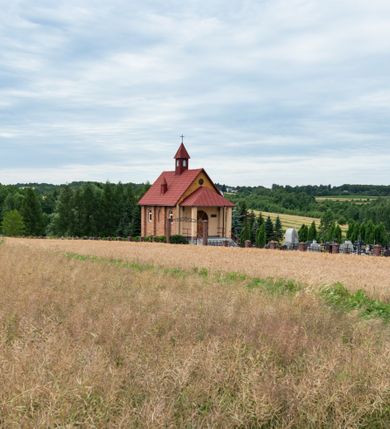Zdjęcie nr 12: Kościół murowany z cegły na niskiej, kamiennej podmurówce, orientowany, jednonawowy ze zredukowanym transeptem oraz nieco niższym, zamkniętym półkoliście prezbiterium. Do północno-wschodniego narożnika nawy (przy prezbiterium) przylega założona na rzucie prostokąta, oszkarpowana zakrystia dostępna półkolistym portalem od strony północnej. Do południowo-wschodniego narożnika nawy dostawiona kaplica Matki Boskiej na rzucie prostokąta zamknięta od wschodu niewielką absydą. Ramiona transeptu zredukowane do roli prostokątnych kaplic. Do południowo-zachodniego i północno-zachodniego narożnika nawy dobudowane nowsze kruchty boczne założone na rzucie prostokąta dostępne portalami o półkolistym wykroju. Kruchta zachodnia na rzucie prostokąta dostępna nowym, prostokątnym wejściem. W ścianach północnej i południowej widoczne, zamurowane, starsze otwory wejściowe (od południa w miejsce portalu okrągłe okno). Dach nad nawą dwuspadowy z trzecią połacią zakrywającą ścianę szczytową; w części wschodniej wieloboczna wieżyczka na sygnaturkę z glorietą zwieńczoną krzyżem. Kruchty oraz kaplice boczne kryte dachami trójpołaciowymi, prezbiterium jednopołaciowym; nad zakrystią dach mansardowy z prostokątnym oknem w lukarnie. Pokrycia dachowe wykonane są z blachy (pierwotnie była to czerwona dachówka). W nawie i prezbiterium strop o konstrukcji żelbetowej wsparty na dziewięciu masywnych kolumnach ustawionych na wysokich cokołach; kaplice boczne sklepione krzyżowo, w zakrystii założony betonowy strop. Chór muzyczny murowany, wsparty na pierwszej od zachodu parze kolumn dźwigających strop. Fasada jednokondygnacyjna, trójosiowa z umieszczoną w osi centralnej prostopadłościenną kruchtą mieszczącą prostokątny otwór wejściowy (nowy). Okna w kształcie stojącego prostokąta o smukłych proporcjach, zamknięte półkoliście. Okno środkowe, umieszczone nieco wyżej, niższe od pozostałych. W ścianach zachodnich krucht bocznych po jednym niewielkim oknie o wykroju półkolistym. Trójkątna ściana szczytowa zasłonięta blaszanym dachem o przełamanej w dolnej części połaci, zwieńczona niewielkim, metalowym krzyżem. Elewacje boczne jednokondygnacyjne, o nieregularnym przebiegu osi. W elewacji południowej w pierwszej osi ceglany portal z nadświetlem o wykroju półkolistym, w drugiej okrągłe okno doświetlające kaplicę boczną, w kolejnych: półkolisty ceglany portal do zakrystii oraz okno o półkolistym wykroju z motywem biforium. W elewacji północnej w osi pierwszej i drugiej niewielkie półkoliście wykrojone okna, w osi trzeciej okrągłe okno doświetlające kaplicę, w osi czwartej natomiast ceglany portal  z nadświetlem o wykroju półkolistym. W prezbiterium cztery okna o wykroju półkolistym. W trzeciej osi, pomiędzy oknami, ujęta wielobocznymi filarami dźwigającymi, wydatny, profilowany gzyms tynkowana na biało nisza z figurą Matki Boskiej Fatimskiej umieszczonej pod baldachimem. Górną część murów nawy, prezbiterium, zakrystii, kaplic oraz obu krucht bocznych obiega profilowany gzyms okapowy. 