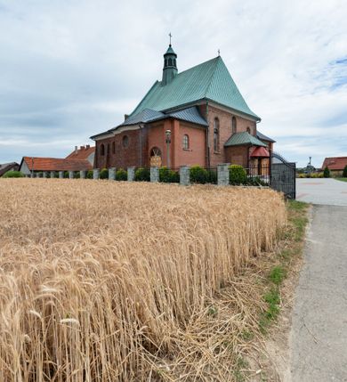 Zdjęcie nr 4: Kościół murowany z cegły na niskiej, kamiennej podmurówce, orientowany, jednonawowy ze zredukowanym transeptem oraz nieco niższym, zamkniętym półkoliście prezbiterium. Do północno-wschodniego narożnika nawy (przy prezbiterium) przylega założona na rzucie prostokąta, oszkarpowana zakrystia dostępna półkolistym portalem od strony północnej. Do południowo-wschodniego narożnika nawy dostawiona kaplica Matki Boskiej na rzucie prostokąta zamknięta od wschodu niewielką absydą. Ramiona transeptu zredukowane do roli prostokątnych kaplic. Do południowo-zachodniego i północno-zachodniego narożnika nawy dobudowane nowsze kruchty boczne założone na rzucie prostokąta dostępne portalami o półkolistym wykroju. Kruchta zachodnia na rzucie prostokąta dostępna nowym, prostokątnym wejściem. W ścianach północnej i południowej widoczne, zamurowane, starsze otwory wejściowe (od południa w miejsce portalu okrągłe okno). Dach nad nawą dwuspadowy z trzecią połacią zakrywającą ścianę szczytową; w części wschodniej wieloboczna wieżyczka na sygnaturkę z glorietą zwieńczoną krzyżem. Kruchty oraz kaplice boczne kryte dachami trójpołaciowymi, prezbiterium jednopołaciowym; nad zakrystią dach mansardowy z prostokątnym oknem w lukarnie. Pokrycia dachowe wykonane są z blachy (pierwotnie była to czerwona dachówka). W nawie i prezbiterium strop o konstrukcji żelbetowej wsparty na dziewięciu masywnych kolumnach ustawionych na wysokich cokołach; kaplice boczne sklepione krzyżowo, w zakrystii założony betonowy strop. Chór muzyczny murowany, wsparty na pierwszej od zachodu parze kolumn dźwigających strop. Fasada jednokondygnacyjna, trójosiowa z umieszczoną w osi centralnej prostopadłościenną kruchtą mieszczącą prostokątny otwór wejściowy (nowy). Okna w kształcie stojącego prostokąta o smukłych proporcjach, zamknięte półkoliście. Okno środkowe, umieszczone nieco wyżej, niższe od pozostałych. W ścianach zachodnich krucht bocznych po jednym niewielkim oknie o wykroju półkolistym. Trójkątna ściana szczytowa zasłonięta blaszanym dachem o przełamanej w dolnej części połaci, zwieńczona niewielkim, metalowym krzyżem. Elewacje boczne jednokondygnacyjne, o nieregularnym przebiegu osi. W elewacji południowej w pierwszej osi ceglany portal z nadświetlem o wykroju półkolistym, w drugiej okrągłe okno doświetlające kaplicę boczną, w kolejnych: półkolisty ceglany portal do zakrystii oraz okno o półkolistym wykroju z motywem biforium. W elewacji północnej w osi pierwszej i drugiej niewielkie półkoliście wykrojone okna, w osi trzeciej okrągłe okno doświetlające kaplicę, w osi czwartej natomiast ceglany portal  z nadświetlem o wykroju półkolistym. W prezbiterium cztery okna o wykroju półkolistym. W trzeciej osi, pomiędzy oknami, ujęta wielobocznymi filarami dźwigającymi, wydatny, profilowany gzyms tynkowana na biało nisza z figurą Matki Boskiej Fatimskiej umieszczonej pod baldachimem. Górną część murów nawy, prezbiterium, zakrystii, kaplic oraz obu krucht bocznych obiega profilowany gzyms okapowy. 