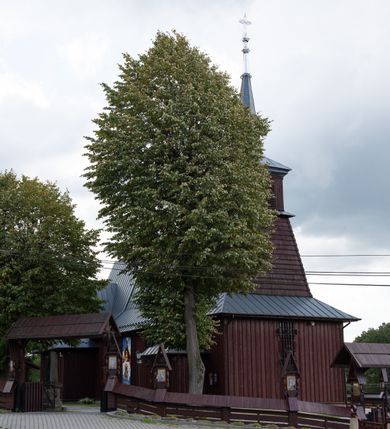 Zdjęcie nr 13: Kościół Przemienienia Pańskiego w Radoczy usytuowany jest w centrum wsi na zachód od głównej drogi prowadzącej z Wadowic do Zatora. Teren przykościelny jest usytuowany na niewielkim wzniesieniu, otoczony drewnianym płotem. Główne wejście na plac przykościelny prowadzi przez bramę od strony zachodniej.

Kościół jest orientowany, drewniany o konstrukcji zrębowej z wieżą na słup, jednonawowy z krótszym prezbiterium zamkniętym trójbocznie. Przy prezbiterium od wschodu nowsza zakrystia murowana, od północy kaplica i składzik, przy nawie od południa kruchta. Wnętrze nakryte pułapem, w nawie z zaskrzynieniami. Ściana arkady tęczowej o wykroju prostokątnym ze ściętymi narożami. Do kościoła prowadzi główne wejście w wieży od strony północnej. Wnętrze świątyni oświetlają prostokątne okna od strony południowej. Dach o jednej kalenicy, kryty blachą, na środku drewniana sygnaturka, nakryta kopułką z latarnią.  Od zachodu wieża w dolnej kondygnacji na planie prostokąta, ujęta po bokach daszkami; druga kondygnacja o ścianach pochyłych, pokryta gontem; trzecia kondygnacja prześwietlona prostokątnymi otworami okiennymi; wieża zakończona iglicą. Ściany na zewnątrz pokryte szalunkiem pionowym.

