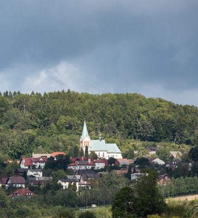 Zdjęcie nr 17: Kościół orientowany, jednonawowy, z krótkim zakończonym wielobocznie prezbiterium, przy którym od północy zakrystia z nowszym przedsionkiem; przy nawie od północy prostokątna kaplica Różańcowa (1712 r.), od zachodu wieża na rzucie kwadratu, od południa drewniana kruchta. Wewnątrz stropy. Arkada tęczy szeroka półkolista. Zewnątrz mury opięte przyporami, tynkowane. Dachy dwuspadowe i pulpitowe. Na kalenicy dachu nawy wieżyczka na sygnaturkę z datą 1878. Okna prostokątne zamknięte półkoliście. Dwa portale kamienne prostokątne. Wieża dołem gotycka, nadbudowana w stylu pseudoromańskim; trójkondygnacyjna, dołem z narożnikami artykułowanymi boniowaniem, narożniki górnej kondygnacji ujęte lizenami połączonymi fryzem arkadkowym. Elewacje wieży zwieńczone trójkątnymi szczytami i ostrosłupowym hełmem krytym blachą.