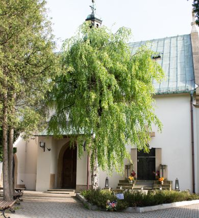 Zdjęcie nr 6: Kościół orientowany, jest budowlą murowaną z kamienia, na rzucie podłużnym. Korpus jednonawowy i dwuprzęsłowy. Do stosunkowo szerokiego, jednoprzęsłowego, zamkniętego trójbocznie prezbiterium od północy przylega zakrystia, a na osi kościoła, od zachodu kruchta. Prezbiterium przekryte jest sklepieniem krzyżowo-żebrowym, a nawa drewnianym sklepieniem kolebkowymi.  Przestrzeń prezbiterium od korpusu nawowego oddziela ostrołukowa arkada tęczowa i drewniana balustrada. Artykulację ścian na zewnątrz kościoła stanowi wieniec przypór ujmujących ściany i naroża korpusu nawowego i prezbiterium.  Do wnętrza prowadzą trzy otwory drzwiowe – jeden przez kruchtę w elewacji północnej, jeden w północnej ścianie korpusu nawowego i jeden przez zakrystię. Dwuskrzydłowe drzwi w kruchcie ujęte są portalem zamkniętym łukiem dwuramiennym, portale pozostałych otworów drzwiowych są ostrołukowe. Ściany korpusu nawowego i prezbiterium przeprute są smukłymi, ostrołukowymi oknami, w nawie wypełnionymi gomółkami, a w prezbiterium dekoracją maswerkową. W szczycie fasady para małych, wąskich okienek w kształcie stojących prostokątów, analogiczne w szczycie kruchty. Korpus nawowy, prezbiterium i zakrystia przekryte są jednym dachem dwuspadowym, wykonanym z blachy, kruchta także dachem dwuspadowym. Na połączeniu nawy i prezbiterium umieszczona jest wieżyczka na sygnaturkę, także obita blachą. Kolorystyka tynków kościoła utrzymana jest w kolorze białym, fasada i kruchta są kamienne. 