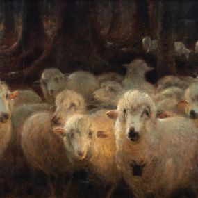 Zdjęcie nr 1: Obraz w formie leżącego prostokąta. W dolnej części obrazu ukazane stado owiec zwróconych w kierunku widza. W tle las, z ukazanymi w oddali kilkoma owcami. Na odwrocie płótna kartka z napisem „Z. Ćwikliński / Powrót z hal”. Obraz ujęty szeroką, drewnianą i politurowaną ramą. 