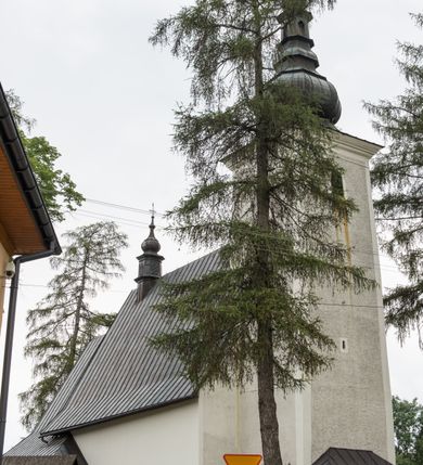 Zdjęcie nr 11: Kościół św. Kwiryna w Łapszach Niżnych usytuowany jest w centrum wsi w pobliżu rzeki Łapszanki. Teren przykościelny jest otoczony wysokim kamiennym, murem nakrytym cementowym daszkiem, jednospadowym, nachylonym na zewnątrz. W części wschodniej muru zlokalizowana jest brama, dostępna schodami, flankowana dwoma filarami, zwieńczonymi czterospadowym płaskim daszkiem i kulami. Analogiczne wejścia od strony zachodniej, północnej i południowej. W obrębie placu przykościelnego znajdują się resztki cmentarza w postaci nagrobków.

Kościół jest orientowany, murowany, otynkowany, jednonawowy z czworoboczną wieżą w fasadzie z prezbiterium zamkniętym trójbocznie. Prezbiterium nakryte sklepieniem krzyżowo-żebrowym, oddzielone od nawy ścianą arkady tęczowej o ostrołukowym zakończeniu. Nawa jest szersza, nakryta stropem. Do prezbiterium przylega od północny niewielka zakrystia na planie prostokąta, a także przylegająca do niej i do ściany nawy druga nowsza zakrystia. Z kolei przy południowej ścianie nawy znajduje się kruchta, zwana babińcem z wejściem do świątyni. Portal prowadzący z kruchty do kościoła ostrołukowy, kamienny, skromnie profilowany – dwa wałki i dwa żłobki. Portal zamknięty drzwiami ze starymi ćwiekowymi okuciami, malowany z wypisaną datą 1652. Na drzwiach napis: „Laudetur Santissimum Sacramentum 1652”. Z kolei na północnej ścianie prezbiterium portal malowany, iluzjonistyczny z wejściem do zakrystii. U góry napis: „PIETAS ET LITTERAE”. Na zachodniej ścianie nawy chór muzyczny wsparty na dwóch filarach z dostępem kręconymi, drewnianymi schodami od północy. 

Wnętrze oświetlają umieszczone w południowych ścianach nawy prostokątne, zamknięte półkoliście cztery okna oraz jedno od strony południowej w prezbiterium; w cztery podobne, małe okna umieszczone po jednym z każdej strony w najwyższej kondygnacji. Do kościoła prowadzi główne wejście od strony zachodniej oraz jedno przez kruchtę od południa i jedno od strony północnej przez zakrystię.

W zewnętrznej elewacji kościoła widoczny jest niewysoki, kamienny cokół, powyżej kościół otynkowany. Prezbiterium, niższe od nawy. Nawa nakryta dachem dwuspadowym z wieżą na sygnaturkę na wschodnim zakończeniu nawy. Do zachodniej fasady kościoła dostawiona jest wysoka założona na planie kwadratu wieża-dzwonnica. W dolnej kondygnacji na osi kościoła prostokątne wejście do kruchty, nakryte daszkiem. Hełm wieży baniasty z latarnią. Na zewnątrz przy apsydzie prezbiterium dwie skarpy złączone daszkiem tworzą wnękę, w której umieszczony jest stół ołtarzowy i grupa Ukrzyżowania tzw. kalwaryjka. Na południowej ścianie nawy znajdował się zegar słoneczny, obecnie pozostała tylko wskazówka po zamalowaniu podczas remontu ścian zewnętrznych.

