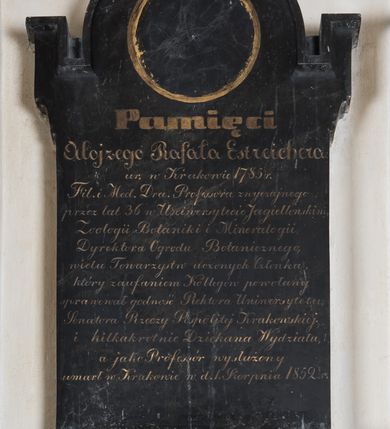 Zdjęcie nr 2: Epitafium złożone z prostokątnej podstawy z wykrojoną od dołu wnęką wypełnioną muszlą i tablicy w kształcie stojącego prostokąta zakończonego uszakami i łukiem, półkolistym nadwieszonym z okrągłym polem na portret, łuk zakończony krzyżem. W polu Inskrypcja „Pamięci / Alojzego Rafała Estreichera / ur(odzonego) w Krakowie 1785 r(oku) / Fil(ozofii) i Med(ycyny) D(okto)ra Professora zwyczajnego / przez lat 36 w Uniwersytecie Jagiellonskim, / Zoologii Botaniki Mineralogii, / Dyrektora Ogrodu Botanicznego, / wielu Towarzystw uczonych Członka, / który zaufaniem Kollegów powołany / sprawował godność Rektora Uniwersytetu, / Senatora Rzeczy Pospolitej Krakowskiej / i kilkakrotnie Dziekana Wydziału, / a jako Professór wysłużony / umarł w Krakowie w d(niu) 1. Sierpnia 1852 r(oku)”. Na podstawie kuta sygnatura „E(dward) Stehlik”. 

