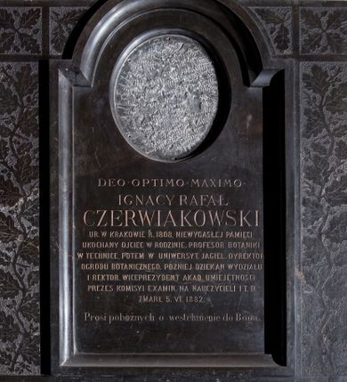 Zdjęcie nr 1: Epitafium w kształcie stojącego prostokąta, obwiedzionego płaskorzeźbioną bordiurą z motywami polerowanych rozłożystych liści dębu i żołędzia na nieobrobionym, szorstkim tle. Pośrodku płycina w formie stojącego prostokąta, ujęta profilowaną, fazowaną wklęsło ramą, zamknięta łukiem nadwieszonym. W górnej części płyciny, puste, owalne pole z przeznaczeniem na portret zmarłego. Nad łukiem, na dwóch stykających się wolutach, osadzony krzyż łaciński o rozszerzających się ramionach. W polu tablicy inskrypcja „DEO OPTIMO MAXIMO / IGNACY RAFAŁ / CZERWIAKOWSKI / UR(ODZONY) W KRAKOWIE R(OKU) 1808, NIEWYGASŁEJ PAMIĘCI / UKOCHANY OJCIEC W RODZINIE, PROFESOR BOTANIKI / W TECHNICE, POTEM W UNIWERSYTE(CIE) JAGIEL(LOŃSKIM) DYREKTOR / OGRODU BOTANICZNEGO, PÓŹNIEJ DZIEKAN WYDZIAŁU / I REKTOR. WICEPREZYDENT AKA(DEMII) UMIEJĘTNOŚCI / PREZES KOMISYI EXAMIN(ACYJNEJ) NA NAUCZYCIELI I T.D. / ZMARŁ 5. VI. 1882. | Prosi pobożnych o westchnienie do Boga.”