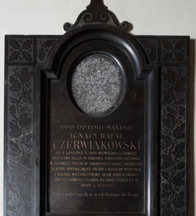 Zdjęcie nr 2: Epitafium w kształcie stojącego prostokąta, obwiedzionego płaskorzeźbioną bordiurą z motywami polerowanych rozłożystych liści dębu i żołędzia na nieobrobionym, szorstkim tle. Pośrodku płycina w formie stojącego prostokąta, ujęta profilowaną, fazowaną wklęsło ramą, zamknięta łukiem nadwieszonym. W górnej części płyciny, puste, owalne pole z przeznaczeniem na portret zmarłego. Nad łukiem, na dwóch stykających się wolutach, osadzony krzyż łaciński o rozszerzających się ramionach. W polu tablicy inskrypcja „DEO OPTIMO MAXIMO / IGNACY RAFAŁ / CZERWIAKOWSKI / UR(ODZONY) W KRAKOWIE R(OKU) 1808, NIEWYGASŁEJ PAMIĘCI / UKOCHANY OJCIEC W RODZINIE, PROFESOR BOTANIKI / W TECHNICE, POTEM W UNIWERSYTE(CIE) JAGIEL(LOŃSKIM) DYREKTOR / OGRODU BOTANICZNEGO, PÓŹNIEJ DZIEKAN WYDZIAŁU / I REKTOR. WICEPREZYDENT AKA(DEMII) UMIEJĘTNOŚCI / PREZES KOMISYI EXAMIN(ACYJNEJ) NA NAUCZYCIELI I T.D. / ZMARŁ 5. VI. 1882. | Prosi pobożnych o westchnienie do Boga.”