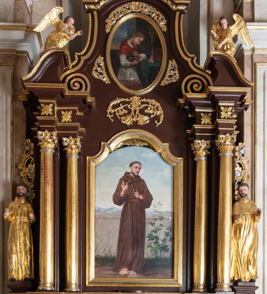 Zdjęcie nr 2: Ołtarz architektoniczny, jednokondygnacyjny, jednoosiowy, ze zwieńczeniem. Ołtarz prostopadłościenny, z drewnianą mensą. Antepedium ujęte profilowaną, polichromowaną ramą zdobioną ornamentyką roślinną. Błękitne pole ujęte jest kwietną bordiurą, pośrodku polichromowana dekoracja w formie inicjałów AS wplecionych w kwiaty białych lilii. Retabulum osadzone na wysokim, zdwojonym cokole, ujęte dwiema parami kolumn, z których zewnętrzne wysunięte do przodu, ustawionych na tle zdwojonych pilastrów. Podpory podtrzymują przerwane, wyłamujące się ponad nimi belkowanie. Zwieńczenie ujęte parą spływów wolutowych i zamknięte nadwieszonym łukiem odcinkowym. Po bokach ujęte przerwanym, wolutowym przyczółkiem. Pola cokołu retabulum zdobią płyciny z wydłużonymi rozetami, pośrodku kompozycja z wici akantu z rozetką. Część środkową retabulum ujmuje para ażurowych uszaków rocaille’owych z motywami rozetek. W partii przerwanego belkowania jest ornament roślinnego z motywem chrząstki, we fryzie rozety. Pole zwieńczenia zdobi stylizowana ornamentyka roślinna, gzyms motyw astragalu. Szczyt w formie ażurowej konchy ujętej po bokach parą wazonów z kwiatami słonecznika. Na przerwanym przyczółku para aniołków w złoconych szatach. Pole części środkowej w kształcie stojącego prostokąta zamkniętego półkolistym łukiem nadwieszonym z uskokami, ujęte profilowaną, złocono-srebrzoną ramą, z przedstawieniem św. Antoniego Padewskiego, na zasuwie obraz św. Franciszka z Asyżu. Retabulum ujmuje para figur niezidentyfikowanych świętych zakonników. W polu zwieńczenia, w owalnej ramie obraz  św. Roberta Bellarmina. Struktura w kolorze ciemnobrązowym, detal architektoniczny i ornamentyka złocone i posrebrzane.