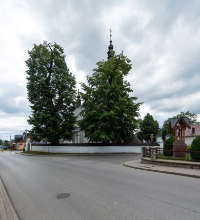 Zdjęcie nr 23: Kościół św. Piotra i św. Pawła jest usytuowany w centrum Łapsz Wyżnych, na południe od głównej drogi z Trybsza do Łapsz Niżnych. Teren przykościelny jest otoczony wysokim kamiennym i częściowo otynkowanym murem, nakrytym gontem od strony wschodniej, zachodniej i północnej oraz nakrytym blachą od strony południowej; daszki jednospadowe, nachylone na zewnątrz. W części zachodniej muru zlokalizowana jest szeroka brama, flankowana dwoma masywnymi filarami, na których ustawione są okrągłe słupy, przykryte stożkowym daszkiem gontowym i zwieńczone krzyżykami. Od wschodu analogiczne wejście z szerszym przejściem, dostępnym schodkami. Trzecie wejście na teren przykościelny prowadzi od północy przez bramę w kształcie arkady zamkniętej łukiem odcinkowym, zwieńczonej trójkątnym nadprożem, na którego szczycie ustawiony jest krzyż i wazony po bokach. Czwarte wejście zlokalizowane w zachodnio-południowym narożniku muru prowadzi przez wysokie schody z balustradą. Od zachodu w ogrodzeniu ulokowany jest budynek salki katechetycznej (dawna kostnica) wchodzącej w mur ścianą frontową. W obrębie placu przykościelnego znajdują się resztki cmentarza w postaci kamiennych i granitowych nagrobków oraz żeliwnych krzyży. 

Kościół jest orientowany, murowany, otynkowany, jednonawowy z czworoboczną wieżą w fasadzie z prezbiterium zamkniętym półkoliście. Dwuprzęsłowe prezbiterium oddziela od nawy ściana arkady tęczowej. Nawa jest szersza, trójprzęsłowa. Wnętrze artykułowane pilastrami wspierającymi sklepienie kolebkowe z lunetami na gurtach, ozdobione stiukowymi, późnobarokowymi ramami. Od południa do prezbiterium przylega zakrystia na planie prostokąta, a do nawy od północny kruchta z portalem z zaakcentowaną datą: „1760”. Na zachodniej ścianie nawy chór muzyczny wsparty jest na trzech półkolistych arkadach. 

Wnętrze oświetlają umieszczone w południowych i północnych ścianach nawy prostokątne, zamknięte półkoliście cztery okna, takie same dwa znajdują się w prezbiterium; w wieży trzy podobne okna umieszczone po jednym z każdej strony, oprócz ściany zachodniej; w apsydzie jedno małe, okrągłe okno. Do kościoła prowadzi główne wejście od strony zachodniej oraz dwa mniejsze od strony północnej przez kruchtę i od strony południowej przez zakrystię.

W zewnętrznej elewacji kościoła widoczny jest niewysoki, kamienny cokół, powyżej kościół jest otynkowany. Prezbiterium, niższe od nawy. Nawa oszkarpowana, nakryta dachem dwuspadowym z wieżą na sygnaturkę na skrzyżowaniu na wschodnim zakończeniu nawy. Do zachodniej fasady kościoła dostawiona jest wysoka założona na planie kwadratu wieża-dzwonnica. W dolnej kondygnacji na osi kościoła znajduje się prostokątne wejście do kruchty, zamknięte półkoliście. Fasada wieży w całości pokryta jest blachą, przechodzącą nad głównym wejściem do kościoła w daszek. Hełm wieży baniasty z latarnią.
