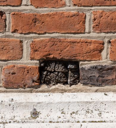 Zdjęcie nr 106: Kościół murowany z cegły, z użyciem zendrówki, na wysokim podmurowaniu z kamienia łupanego, jednonawowy, orientowany. 
Prezbiterium i nawa na planie prostokątów, nawa szersza i dłuższa od prezbiterium. Zakrystia na rzucie wydłużonego prostokąta przylega do wschodniej ściany prezbiterium, występując poza mury nawy. Prezbiterium od wschodu ujęte w narożach dwiema ukośnymi szkarpami, od południa jedną prostopadłą. Przy południowej ścianie nawy kruchta na planie kwadratu. Nawa w narożach ujęta szkarpami, od wschodu dwiema prostopadłymi, od zachodu ukośnymi. 
Prezbiterium dwuprzęsłowe, nakryte sklepieniem krzyżowo-żebrowym. Na zwornikach dwie tarcze z herbami Trzy Korony i Wieniawa. Zakrystia sklepiona kolebkowo. Nawa nakryta drewnianym stropem z kasetonami i rozetami. Kruchta sklepiona krzyżowo-żebrowo ze zwornikiem z tarczą z herbem Wieniawa. Otwór tęczowy w formie stojącego prostokąta zamkniętego łukiem ostrym. W zachodniej części nawy drewniany parapet chóru muzycznego wsparty na dwóch filarach. 
Fasada w jednej trzeciej wysokości odcięta kamiennym gzymsem kapnikowym, zakończona jodełkowym fryzem w partii muru, zwieńczona trójkątnym szczytem. Mur dekorowany zendrówką ułożoną „w zęby”, w partii szczytu w układzie rombowym. Na osi kamienny ostrołukowy portal o schodkowym nadprożu, dekorowanym krzyżującym się laskowaniem; węgary gładkie w jednej trzeciej wysokości przechodzące w piramidki i profilowanie powyżej. Nad portalem kamienna kwadratowa tablica, ujęta kamiennym obramieniem z tarczą z herbem Wieniawa. Ponad nią, na osi okulus w kamiennym obramieniu. 
Elewacje północna i południowa w części nawy w jednej trzeciej wysokości przedzielone kamiennym gzymsem kapnikowym, na zakończeniu ścian z gzymsem wieńczącym. Mur dekorowany zendrówką w układzie rombowym. Na elewacji południowej cztery okna w formie wydłużonego, stojącego prostokąta zamkniętego łukiem ostrym, w kamiennych obramieniach, podzielone laskowaniem. Południowa ściana prezbiterium zakończona gzymsem wieńczącym, w górnej części muru dekorowana zendrówką ułożoną „w zęby”. 
Szkarpy opinające nawę uskokowe, zwężające się ku górze, nakryte daszkami pulpitowymi. Szkarpy opinające prezbiterium nakryte daszkami pulpitowymi, podzielone gzymsami kapnikowymi. 
Kruchta od strony wschodniej i zachodniej podzielona kamiennym gzymsem kapnikowym, od południa zakończona gzymsem wieńczącym. Na ścianie południowej kruchty kamienny, ostrołukowy portal, o schodkowym nadprożu, dekorowanym krzyżującym się laskowaniem; węgary gładkie, w jednej trzeciej wysokości przechodzące w piramidki i profilowanie powyżej. Nad portalem kamienna tarcza z herbem Wieniawa. 
Elewacja wschodnia zwieńczona trójkątnym szczytem, w którego partii mur dekorowany jest zendrówką w układzie rombowym. Na osi okno w formie wydłużonego, stojącego prostokąta zamkniętego łukiem ostrym, w kamiennym obramieniu, zamurowane w trzech piątych wysokości, zakończone daszkiem pulpitowym. W dolnej części okna znajduje się ogrójec. 
Nawa i prezbiterium nakryte osobnymi blaszanymi dachami dwuspadowymi, kruchta i zakrystia pulpitowymi. Nad nawą blaszana wieżyczka na sygnaturkę z latarnią i hełmem baniastym.





