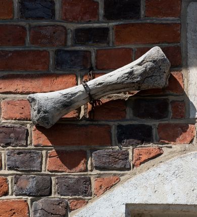 Zdjęcie nr 108: Kościół murowany z cegły, z użyciem zendrówki, na wysokim podmurowaniu z kamienia łupanego, jednonawowy, orientowany. 
Prezbiterium i nawa na planie prostokątów, nawa szersza i dłuższa od prezbiterium. Zakrystia na rzucie wydłużonego prostokąta przylega do wschodniej ściany prezbiterium, występując poza mury nawy. Prezbiterium od wschodu ujęte w narożach dwiema ukośnymi szkarpami, od południa jedną prostopadłą. Przy południowej ścianie nawy kruchta na planie kwadratu. Nawa w narożach ujęta szkarpami, od wschodu dwiema prostopadłymi, od zachodu ukośnymi. 
Prezbiterium dwuprzęsłowe, nakryte sklepieniem krzyżowo-żebrowym. Na zwornikach dwie tarcze z herbami Trzy Korony i Wieniawa. Zakrystia sklepiona kolebkowo. Nawa nakryta drewnianym stropem z kasetonami i rozetami. Kruchta sklepiona krzyżowo-żebrowo ze zwornikiem z tarczą z herbem Wieniawa. Otwór tęczowy w formie stojącego prostokąta zamkniętego łukiem ostrym. W zachodniej części nawy drewniany parapet chóru muzycznego wsparty na dwóch filarach. 
Fasada w jednej trzeciej wysokości odcięta kamiennym gzymsem kapnikowym, zakończona jodełkowym fryzem w partii muru, zwieńczona trójkątnym szczytem. Mur dekorowany zendrówką ułożoną „w zęby”, w partii szczytu w układzie rombowym. Na osi kamienny ostrołukowy portal o schodkowym nadprożu, dekorowanym krzyżującym się laskowaniem; węgary gładkie w jednej trzeciej wysokości przechodzące w piramidki i profilowanie powyżej. Nad portalem kamienna kwadratowa tablica, ujęta kamiennym obramieniem z tarczą z herbem Wieniawa. Ponad nią, na osi okulus w kamiennym obramieniu. 
Elewacje północna i południowa w części nawy w jednej trzeciej wysokości przedzielone kamiennym gzymsem kapnikowym, na zakończeniu ścian z gzymsem wieńczącym. Mur dekorowany zendrówką w układzie rombowym. Na elewacji południowej cztery okna w formie wydłużonego, stojącego prostokąta zamkniętego łukiem ostrym, w kamiennych obramieniach, podzielone laskowaniem. Południowa ściana prezbiterium zakończona gzymsem wieńczącym, w górnej części muru dekorowana zendrówką ułożoną „w zęby”. 
Szkarpy opinające nawę uskokowe, zwężające się ku górze, nakryte daszkami pulpitowymi. Szkarpy opinające prezbiterium nakryte daszkami pulpitowymi, podzielone gzymsami kapnikowymi. 
Kruchta od strony wschodniej i zachodniej podzielona kamiennym gzymsem kapnikowym, od południa zakończona gzymsem wieńczącym. Na ścianie południowej kruchty kamienny, ostrołukowy portal, o schodkowym nadprożu, dekorowanym krzyżującym się laskowaniem; węgary gładkie, w jednej trzeciej wysokości przechodzące w piramidki i profilowanie powyżej. Nad portalem kamienna tarcza z herbem Wieniawa. 
Elewacja wschodnia zwieńczona trójkątnym szczytem, w którego partii mur dekorowany jest zendrówką w układzie rombowym. Na osi okno w formie wydłużonego, stojącego prostokąta zamkniętego łukiem ostrym, w kamiennym obramieniu, zamurowane w trzech piątych wysokości, zakończone daszkiem pulpitowym. W dolnej części okna znajduje się ogrójec. 
Nawa i prezbiterium nakryte osobnymi blaszanymi dachami dwuspadowymi, kruchta i zakrystia pulpitowymi. Nad nawą blaszana wieżyczka na sygnaturkę z latarnią i hełmem baniastym.





