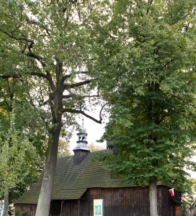 Zdjęcie nr 32: Kościół pomocniczny pw. Wniebowzięcia Najświętszej Marii Panny w Woli Radziszowskiej to niewielkich rozmiarów, orientowana, jednonawowa budowla drewniana, konstrukcji zrębowej, z wieżą w słup. Prezbiterium jest zamknięte wielobocznie, nieco wyższa i szersza nawa ma rzut prostokąta zbliżonego do kwadratu. Do prezbiterium od strony północnej przylega zakrystia, od wschodniej Ogrójec, przy nawie od południa umieszczona została niewielka, prostokątna kruchta. Od zachodu do budowli dostawiona jest czworoboczna wieża o pochyłych ścianach, z podwieszoną izbicą z czworobocznymi występami na przekątnikach; hełm ostrosłupowy z czterema wieżyczkami na występach. W przyziemiu wieży znajduje się kruchta, a dookoła wieży szalowane soboty. Wewnątrz świątyni stropy; w nawie z zaskrzynieniami. Otwór tęczowy ma kształt ostrołuku, belka jest profilowana, na niej umieszczony jest krucyfiks o charakterze późnogotyckim. Chór muzyczny w zachodniej części nawy jest drewniany, wsparty na dwóch kolumnach. Okna nawy i prezbiterium są głównie prostokątne zamknięte półkoliście; z witrażami (z wyjątkiem okna za ołtarzem głównym); ponadto budowlę doświetlają niewielkie okienka prostokątne. Do świątyni prowadzi dwoje drzwi ostrołukowych, trzecie od strony zachodniej przerobiono w 1933 roku. Dachy kościoła są kryte gontem, ponad nawą i kruchtą południową dwuspadowe, nad zakrystią jednospadowy, nad prezbiterium wielopołaciowy. Wieżyczka na sygnaturkę o formach barokowych z glorietą, cebulastym hełmem zwieńczonym kulą oraz krzyżem; kryta blachą. Świątynia usytuowana jest na niewielkiej działce, wydzielonej ogrodzeniem z drewnianych bali, krytym gontem. Bramy wiodące na posesję umieszczono od zachodu oraz w południowo-wschodnim narożniku działki.