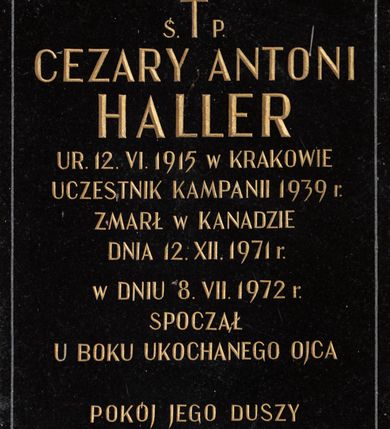 Zdjęcie nr 8: Kaplicę wzniesiono na rzucie koła, nakrywając jej wnętrze półkolistą kopułą. Ściany zewnętrzne zostały podzielone ośmioma pilastrami jońskimi, wspierającymi belkowanie. Powyżej belkowania biegnie profilowany gzyms koronujący, dekorowany fryzem kostkowym. Półokrągłe wejście usytuowano od zachodu. Prowadzi do niego pięć stopni. Wejście zamyka żelazna, klasycystyczna krata. Od wschodu w ścianie przepruto okulus, ujęty od wnętrza półokrągłym glifem w płytkiej, prostokątnej niszy zamkniętej półokrągło. Wnętrze pokryto ochrową polichromią, z wymalowanym białą kreską podziałem odzwierciedlającym artykulację zewnętrzną. Na ścianie umieszczono dwie czworoboczne płyty upamiętniające zmarłych pochowanych w krypcie. Wejście do krypty zamyka prostokątna, marmurowa płyta dekorowana aplikacją ze złoconego brązu, ukazującą trupią czaszkę ze skrzyżowanymi piszczelami umieszczoną nad antabą.