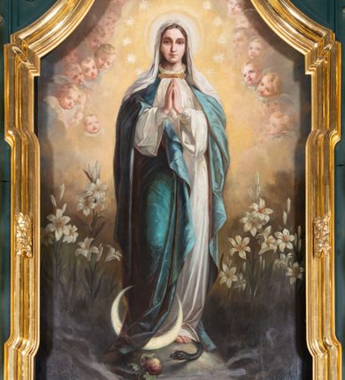 Zdjęcie nr 3: Nastawa architektoniczna, jednoosiowa, jednokondygnacyjna ze zwieńczeniem, ustawiona na dwustrefowym cokole z wyodrębnionymi dwoma prostopadłościanami. Ołtarz prostopadłościenny, z drewnianą mensą. Antepedium ujęte profilowaną, złoconą ramą, na tle fioletowego pola mandorla z chrystogramem Chi Rho oraz literami alfa i omega, w glorii promienistej. Cokół w górnej strefie dekorowany płycinami wypełnionymi akantem. Nastawa flankowana parą pilastrów o kanelowanych trzonach i stojących przed nimi kolumn o kapitelach kompozytowych i kręconych trzonach, oplecionych akantem, ustawionych pod kątem na zewnątrz, dźwigających pełne belkowanie, wyłamane na ich osi, o fryzie dekorowanym rozetami, z siedzącymi na nim puttami. Pole centralne niemal w całości wypełnione wnęką ujętą profilowaną ramą w formie stojącego prostokąta o wklęsłych górnych narożach. We wnęce obraz z przedstawieniem Niepokalanego Poczęcia Matki Boskiej, na zasuwie św. Anna Samotrzeć. Nad obrazem, w polu belkowania kartusz utworzony z akantu, girland i zwisów z napisem „POD / TWOJĄ OBRONĘ / UCIEKAMY / SIĘ”. Kondygnacja ujęta uszami utworzonymi z akantu. Zwieńczenie w formie stojącego prostokąta o lekko wklęsłych bokach, zamknięte fragmentem segmentowego gzymsu zakończonego wolutami, dekorowanego obłokami, liśćmi oraz figurą putta i uskrzydlonych główek anielskich. W polu obraz św. Róży z Viterbo w formie zbliżonej do trapezu o wklęsłych podstawach, ujęty profilowaną ramą. Zwieńczenie flankowane uszami z akantu i kampanuli. Struktura polichromowana w kolorze zielonym, ze złoconymi kolumnami, profilami i ornamentyką. 