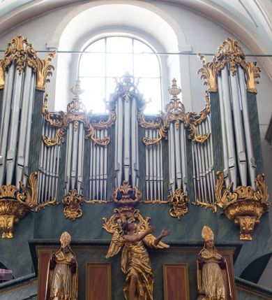Zdjęcie nr 1: Chór muzyczny konstrukcji drewnianej, wparty na dwóch kamiennych kolumnach o prostych impostowych kapitelach. Balustrada chóru pełna o dekoracji płycinowej (naprzemiennie płyciny owalne, prostokątna i sześcioboczne), zwieńczona profilowanym gzymsem. W dołu ażurowa, wycinana dekoracja. Część środkowa parapetu przełamana i wysunięta do przodu z ustawionymi na niewielkich konsolach polichromowanymi, złoconymi i srebrzonymi figurami: anioła (po środku), św. Wojciecha (?) z lewej i św. Stanisława z prawej. Struktura marmoryzowana w odcieniach zgaszonego niebieskiego, wnętrza płycin w kolorze ceglastej czerwieni. Organy o formie architektonicznej, dziewięcioosiowe z zaakcentowanymi osiami nieparzystymi. Dekorowane złoconym ornamentem akantowym, palmetami, girlandami oraz rocaille'm. Osie trzecia i siódma dodatkowe zwieńczone złoconymi wazonami. Struktura marmoryzowana w odcieniach zgaszonego koloru niebieskiego.