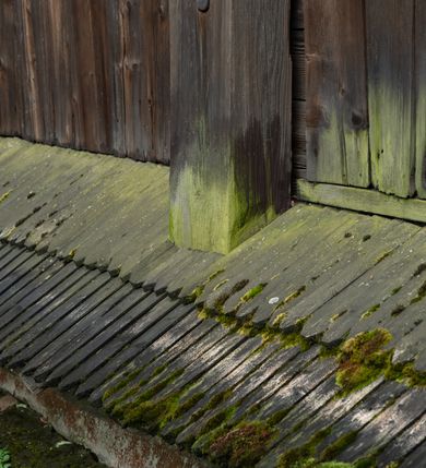 Zdjęcie nr 60: Drewniany kościół pw. św. Mikołaja w Polance jest budowlą orientowaną. Do prostokątnej nawy przylega węższe, wydłużone, trójbocznie zamknięte prezbiterium z piętrową zakrystią na osi o poligonalnym zamknięciu. Do zakrystii przylega od południa kruchta. Fragment północnej ściany prezbiterium jest murowany. Od zachodu do nawy dobudowano czworoboczną wieżę poprzedzoną przedsionkiem, który również dostawiono do nawy od południa. Prezbiterium i nawę wzniesiono na zrąb, natomiast wieżę w konstrukcji słupowej. Wieża na rzucie kwadratu posiada dwie kondygnacje. Dolna jest tej samej szerokości co nawa, górna natomiast znacznie węższa. Jej masyw podzielono smukłymi pilastrami i lizenami, zaś poniżej profilowanego gzymsu koronującego umieszczono wyrzynaną w desce koronkę. Kondygnacje oddzielono daszkiem gontowym zlewającym się po bokach z dachem kościoła. Wieżę nakryto kopulastym hełmem blaszanym, zwieńczonym blaszanym obeliskiem z krzyżem. Prezbiterium i nawę nakryto eternitowym dachem siodłowym podkreślonym profilowanym gzymsem. Nad nawą w części wschodniej zainstalowano wieżyczkę na sygnaturkę w formie wielobocznego graniastosłupa przykrytego cebulastą banią z krzyżem. Dokoła kościoła założono daszek gontowy chroniący podwaliny. Pod kościołem urządzono kryptę grzebalną. Wnętrze kościoła artykułowano za pomocą pilastrów i gzymsu. Całość nakryto stropem z fasetą. Otwór tęczowy uzyskał kształt trójlistnego, ściętego łuku, wspartego na filarkach ustawionych na profilowanej belce zawieszonej na kroksztynach. W części zachodniej nawy urządzono chór muzyczny, wsparty na dwóch kolumnach jońskich z przedpiersiem rozczłonkowanym balasami. We wnętrzu ustawiono ołtarz główny i dwa ołtarze boczne oraz ambonę, a na chórze muzycznym zainstalowano prospekt organowy.