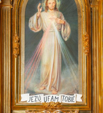 Zdjęcie nr 48: Nastawa architektoniczna, jednoosiowa, dwukondygnacyjna. Ołtarz murowany, prostopadłościenny, obity metalową blachą, zdobioną trybowaną kratownicą i gwiazdkami. Wewnątrz grób Chrystusa ze współczesną rzeźbą. Nastawa na niskim cokole, z wyodrębnionymi dwoma, ukośnie ustawionymi prostopadłościanami, z konsolami, dekorowanymi akantem i kampanulami. Pośrodku cokołu zamontowany obraz św. Faustyny w kształcie wieloboku. Kondygnacja flankowana dwiema parami pilastrów o kanelowanych trzonach oraz ustawioną przed nimi parą kolumn o kapitelach kompozytowych. Podpory dźwigają pełne belkowanie, wyłamane na ich osi, z silnie wysuniętym gzymsem, z przerwanym architrawem i fryzem nad polem środkowym. Na belkowaniu fragmenty przerwanego, wolutowego przyczółka, zwrócone pod kątem, do wewnątrz. W polu środkowym wnęka w formie stojącego prostokąta zamkniętego łukiem półkolistym, ujęta profilowaną ramą dekorowaną na bokach kwiatami, zwieńczoną muszlą. We wnęce obraz „Jezu Ufam Tobie”. Na konsolach, po bokach nastawy ustawione figury św. Kazimierza i św. Jana Kantego. Nastawa flankowana uszami utworzonymi z karbowanej wstęgi i ornamentu roślinnego. Druga kondygnacja węższa, flankowana ustawionymi pod kątem pilastrami, o trzonach dekorowanych kampanulami. Pilastry podtrzymują gzyms wyłamany na ich osi, nad polem przyjmujący kształt łuku półkolistego nadwieszonego. Na nim ustawione dwa wazony z kwiatami i bukiet kwiatów. W polu obraz św. Joachima w formie stojącego owalu, ujęty ramą, dekorowaną ornamentem roślinnym. Struktura niemal w całości złocona, elementy cokołu i fryzu polichromowane w kolorze czerwonym, ornamentyka złocona. 


