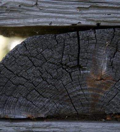 Zdjęcie nr 11: Kościół na podmurówce z kamienia łamanego, konstrukcji zrębowej, z belek o zróżnicowanych przekrojach, wiązanych w węgłach na jaskółczy ogon; orientowany, salowy; kruchta konstrukcji szkieletowej, szalowana deskami.
Kościół na planie prostokąta zamkniętego trójbocznie. Od zachodu dostawiona kwadratowa kruchta-przedsionek. 
Wnętrze nakryte stropem belkowym z deskową podsufitką. Ściany pokryte listwowymi boazeriami. Posadzka kamienna, a w niej umieszczone trzy płyty nagrobne, kamienne. 
Dwa otwory okienne w ścianie południowej i północnej, w formie stojącego prostokąta zamkniętego łukiem odcinkowym, skrzynkowe, obwiedzione listwowymi opaskami, z kwaterowymi podziałami. Otwory wejściowe: w wejściu do przedsionka od zachodu drzwi dwuskrzydłowe, płycinowe w futrynie skrzynkowej; w przejściu do nawy drzwi deskowe-spągowe, dwuskrzydłowe, w odrzwiach belkowych. 
Kościół nakryty dachem siodłowym, jednokalenicowym, dwuspadowym, krytym gontem; o więźbie krokwiowo-siodłowej. Od zachodu nad korpusem i przedsionkiem wydatne daszki okapowe, kryte gontem. Szczyty szalowane deskami w układzie pionowym na styk, z listwowaniem. Nad nawą, na kalenicy wieżyczka na sygnaturkę z wydatnym z hełmem baniastym z latarnią, pobita blachą. 
