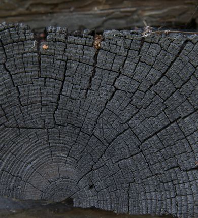 Zdjęcie nr 12: Kościół na podmurówce z kamienia łamanego, konstrukcji zrębowej, z belek o zróżnicowanych przekrojach, wiązanych w węgłach na jaskółczy ogon; orientowany, salowy; kruchta konstrukcji szkieletowej, szalowana deskami.
Kościół na planie prostokąta zamkniętego trójbocznie. Od zachodu dostawiona kwadratowa kruchta-przedsionek. 
Wnętrze nakryte stropem belkowym z deskową podsufitką. Ściany pokryte listwowymi boazeriami. Posadzka kamienna, a w niej umieszczone trzy płyty nagrobne, kamienne. 
Dwa otwory okienne w ścianie południowej i północnej, w formie stojącego prostokąta zamkniętego łukiem odcinkowym, skrzynkowe, obwiedzione listwowymi opaskami, z kwaterowymi podziałami. Otwory wejściowe: w wejściu do przedsionka od zachodu drzwi dwuskrzydłowe, płycinowe w futrynie skrzynkowej; w przejściu do nawy drzwi deskowe-spągowe, dwuskrzydłowe, w odrzwiach belkowych. 
Kościół nakryty dachem siodłowym, jednokalenicowym, dwuspadowym, krytym gontem; o więźbie krokwiowo-siodłowej. Od zachodu nad korpusem i przedsionkiem wydatne daszki okapowe, kryte gontem. Szczyty szalowane deskami w układzie pionowym na styk, z listwowaniem. Nad nawą, na kalenicy wieżyczka na sygnaturkę z wydatnym z hełmem baniastym z latarnią, pobita blachą. 
